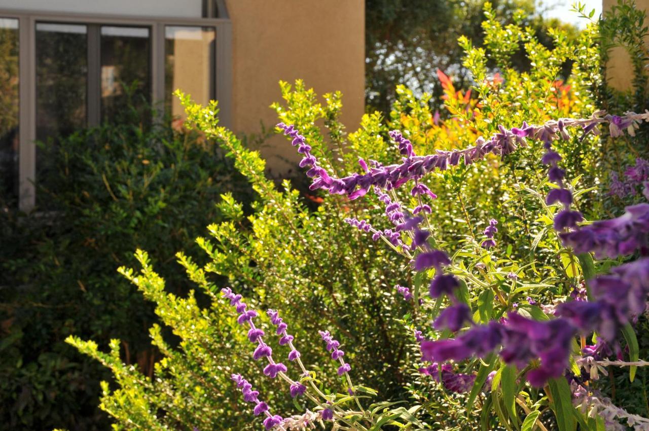 Had Nes 229 Villa Exterior photo